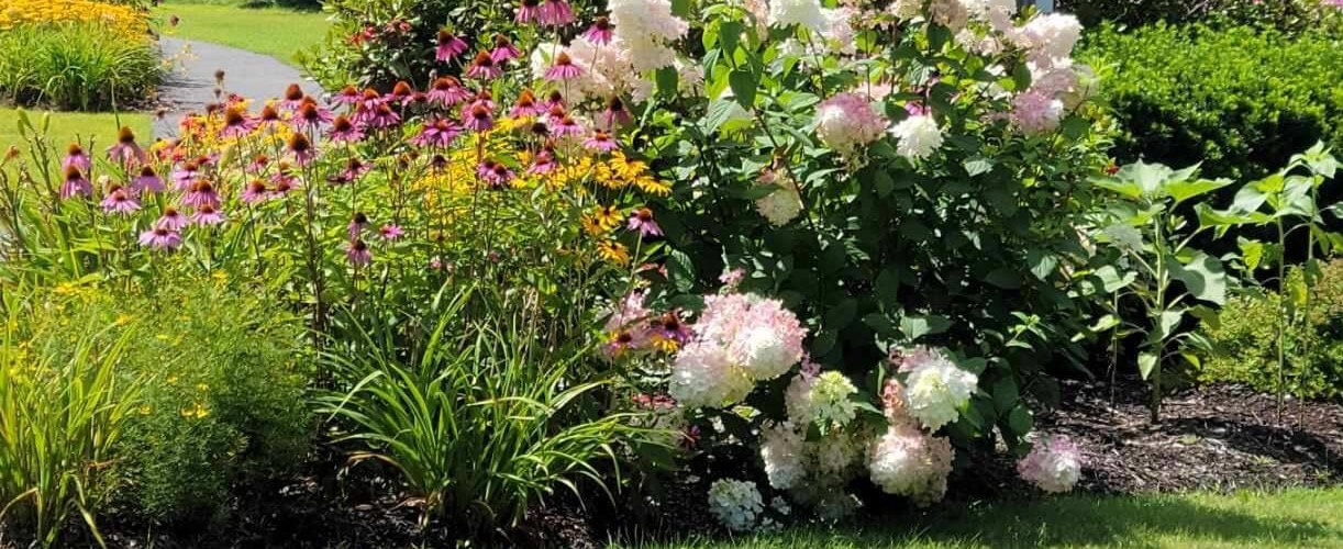 W-FARMINGTON-FLOWERS1-v2